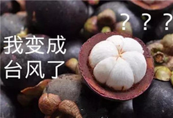 “山竹”還未走遠，但貝朗全自動彎線機已正常上班啦！
