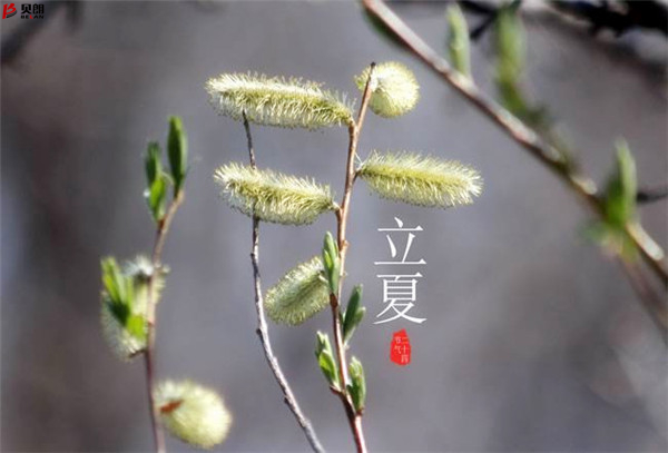 二十四節氣立夏，那些您不知道的習俗