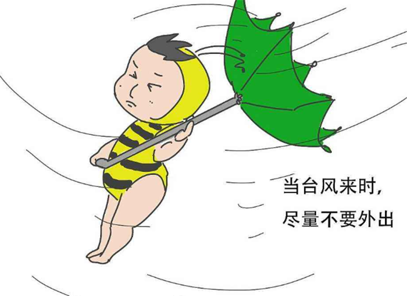 臺風——轉載網(wǎng)絡圖片