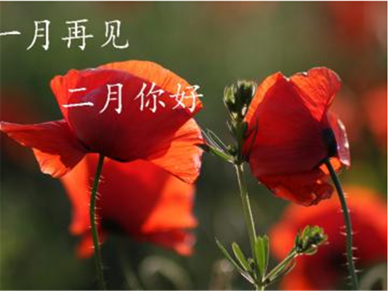 一月再見(jiàn)，美好的二月你好啊